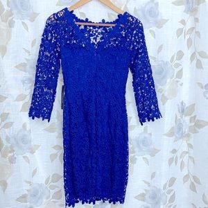 BEBE  Lace Cobalt Color  Dress